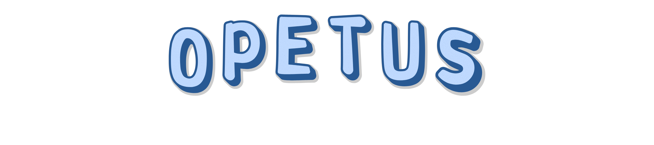 Opetus